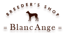 blanc ange